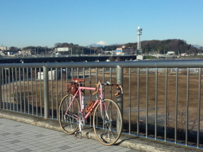 鶴見川 富士冬景色
