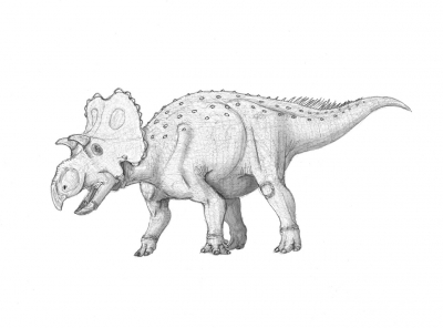Yehuecauhceratops