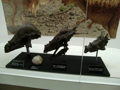 Stygimoloch spinifer 003