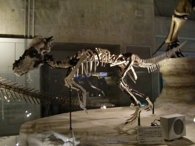 Stygimoloch spinifer 002