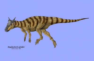Stygimoloch spinifer 001