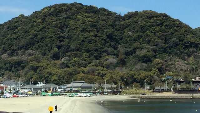 海桜島4