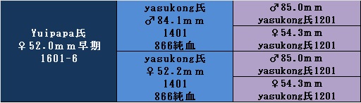 yuipapa1601-6.jpg