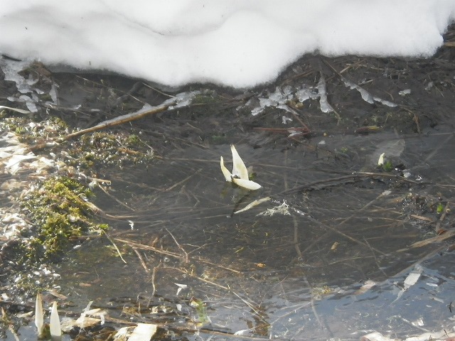 IMGP7985.jpg