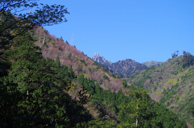 IMGP8279.jpg