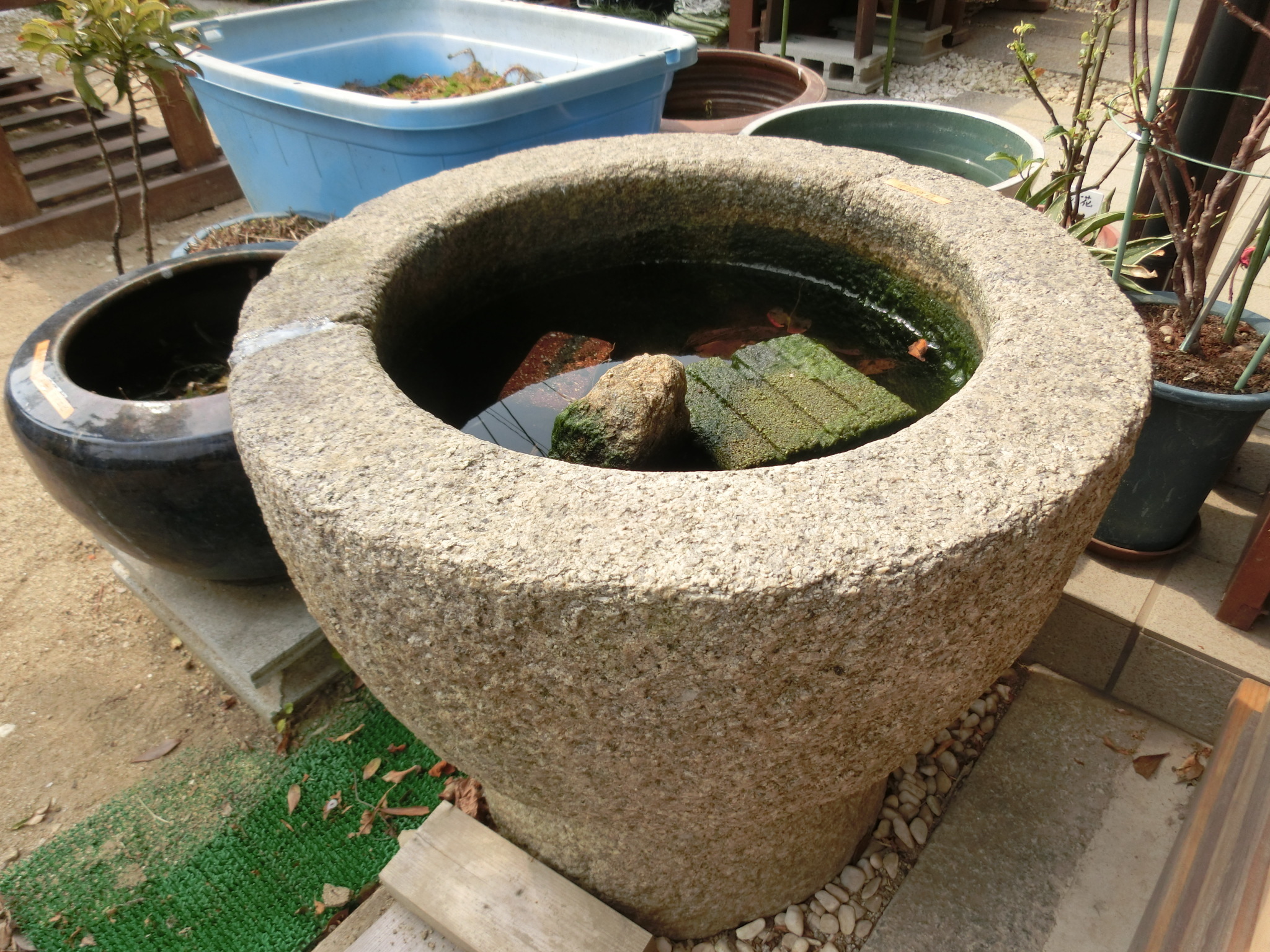 石臼 餅つき ガーデニング 庭石 - フラワー/ガーデン