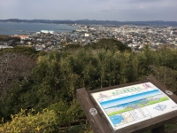 IMG_1571b.jpg