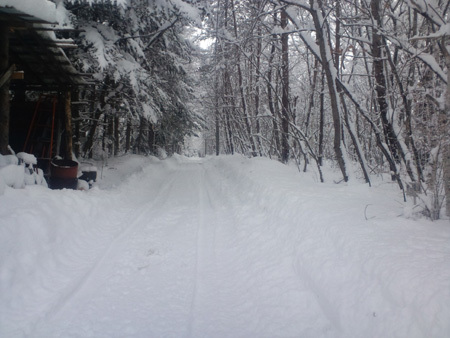 H29.3積雪40センチ道路