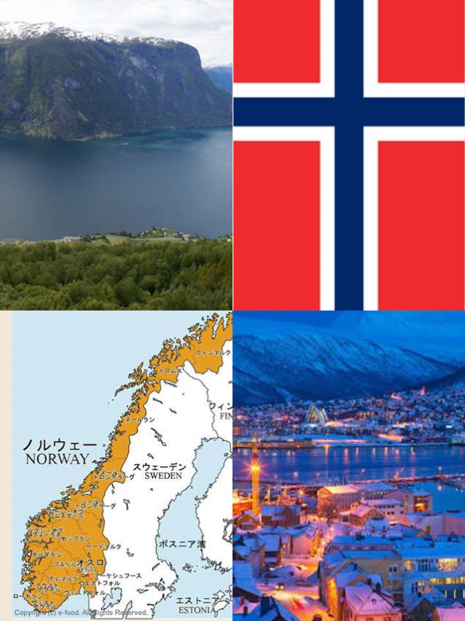 EV電動化王国 ノルウェー