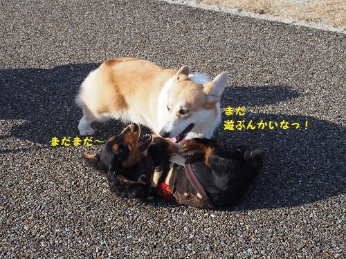 まだまだ