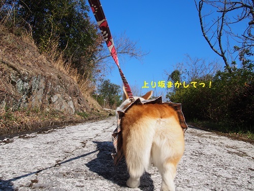 上り坂