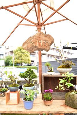 170408-kito2.jpg