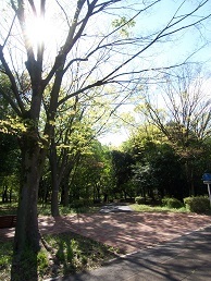 2017年4月公園