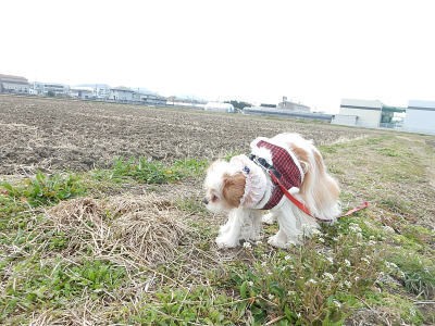 DSCN2130.jpg