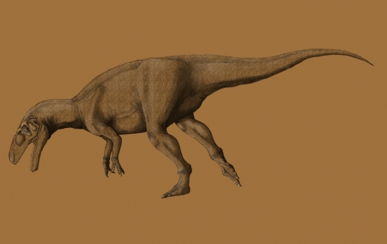 Piatnitzkysaurus floresi 002