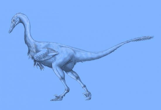 Halszkaraptor escuilliei 002