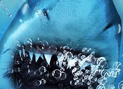 パチンコ「CR JAWS～it's a SHARK PANIC～」で使用されている歌と曲の紹介。「JAWS THEME」