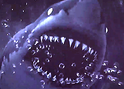 パチンコ「CR JAWS～it's a SHARK PANIC～」で使用されている歌と曲の紹介。「ROSIER / LUNA SEA」