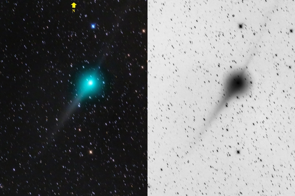 ジョンソン彗星-C2015-V2_2019版ビクセン天体カレンダー入選
