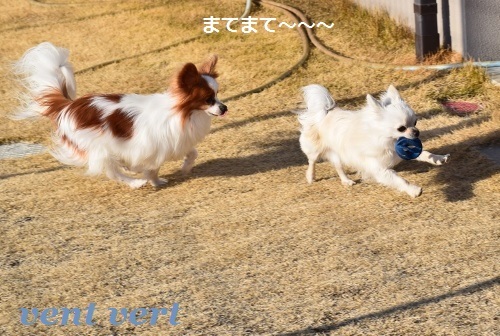 まて1