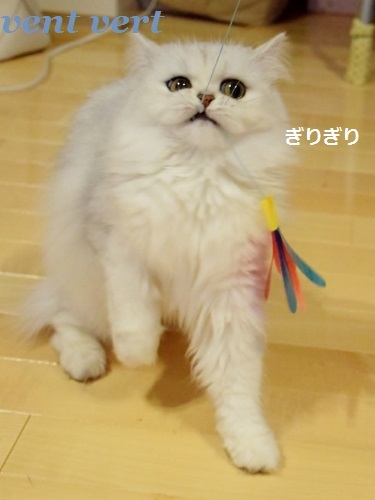 かしゃぶん１０