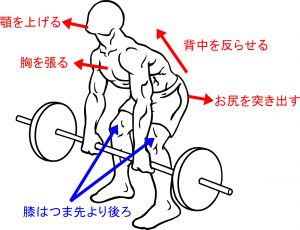 Barbell-rear-delt-row-1point.png