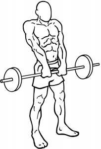 Barbell-shrugs-2.png