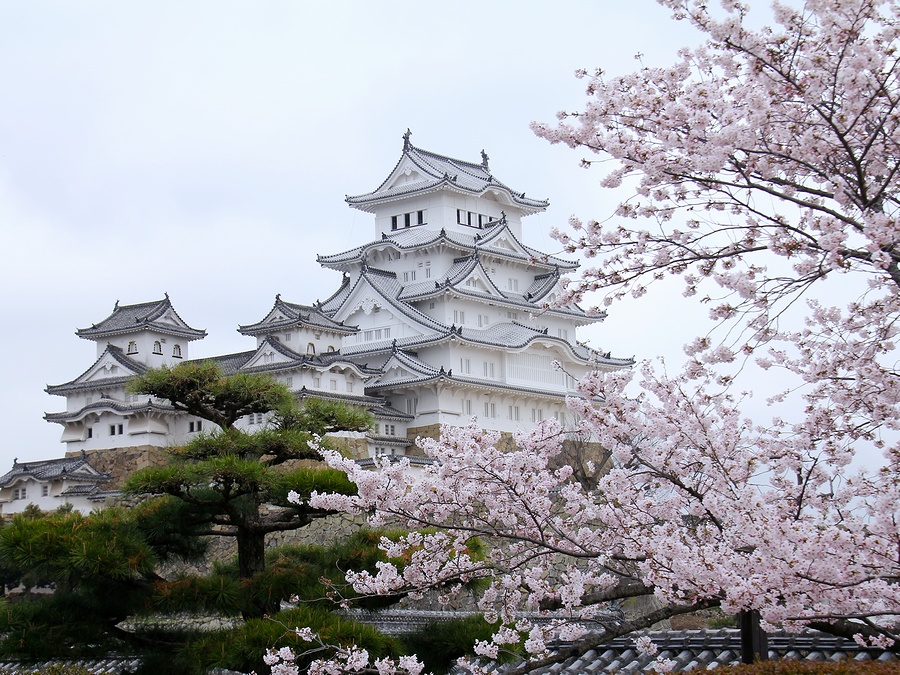 世界遺産 国宝姫路城の桜景色 素晴らしかった 世界に誇れるニッポンの春の風景 神社仏閣 お城