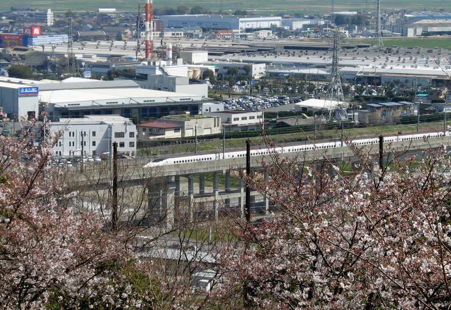 800系新幹線と桜　朝日山公園