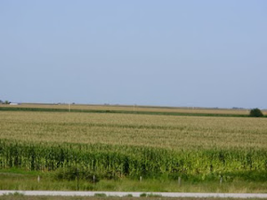 ネブラスカのトウモロコシ畑