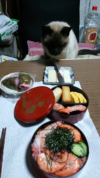 チラシ寿司とクー