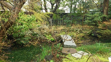 大佛次郎茶亭の庭２