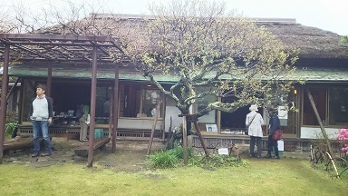 大佛茶亭の庭１
