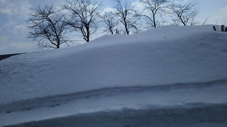 雪２メートルくらい
